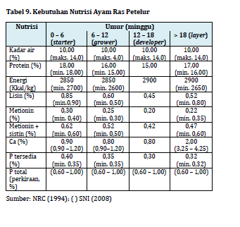cara main judi casino online